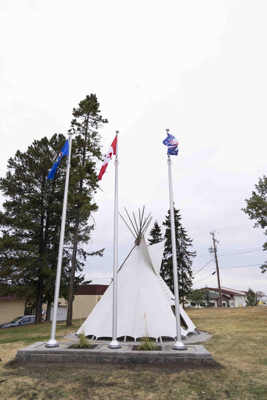 Treaty 6